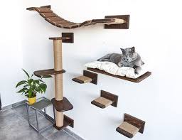 Crafting a Wall-Mounted Cat Climbing System: Pet-Friendly Home Projects